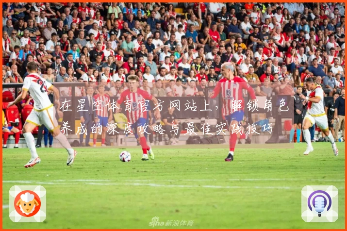 在星空体育官方网站上,解锁角色养成的深度攻略与最佳实践技巧