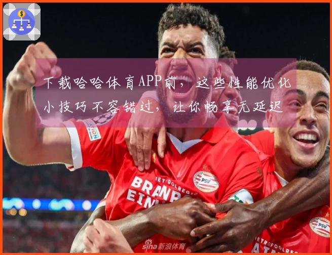 下载哈哈体育APP前，这些性能优化小技巧不容错过，让你畅享无延迟游戏体验！